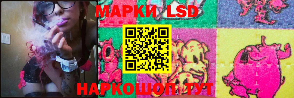 Лсд 25 экстази кислота  Лсд 25 экстази  Горно-Алтайск  Вход с VPN 