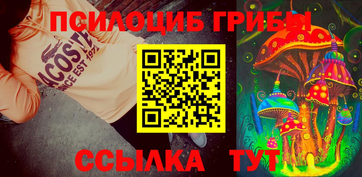 Псилоцибиновые грибы мухоморы Горно-Алтайск