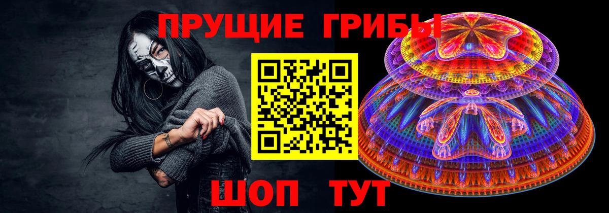 Псилоцибиновые грибы мицелий  Вход с VPN  Горно-Алтайск  Псилоцибиновые грибы мицелий 